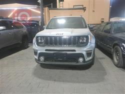 جيب رينيجيد